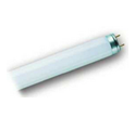 Leuchtstofflampen