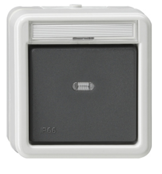 Gira 010731 Wippschalter 10 AX 250 V~ mit Beschriftungsfeld Kreuzschalter Grau ***RESTPOSTEN***