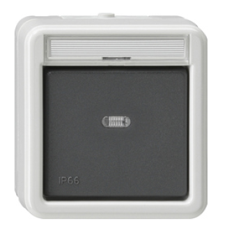 Gira 011631 Wipp-Kontrollschalter 10 AX 250 V~ mit Beschriftungsfeld Universal-Aus-Wechselschalter Grau