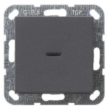 Gira 012228 Tast-Kontrollschalter mit Wippe Ausschalter 2-polig System 55 Anthrazit ***RESTPOSTEN***