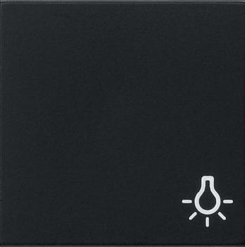 Gira 0285005 System 55 Wippe mit Symbol Licht Schwarz matt ***RESTPOSTEN***
