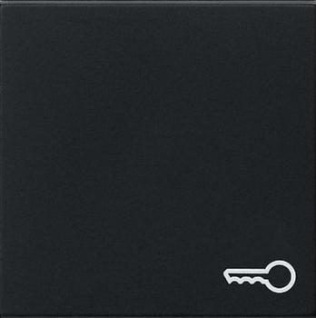 Gira 0287005 System 55 Wippe mit Symbol Tür Schwarz matt ***RESTPOSTEN***