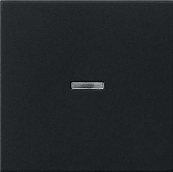 Gira 0290005 System 55 Kontrollwippe Schwarz matt ***RESTPOSTEN***