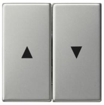 Gira 0294600 System 55 Wippe 2fach mit Pfeilsymbol Edelstahl ***RESTPOSTEN***