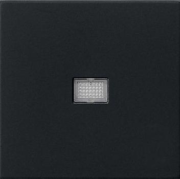 Gira 0298005 System 55 Wippe mit großem Kontrollfenster Schwarz matt ***RESTPOSTEN***
