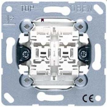 Jung 539U Doppel-Taster 2 Wechsler