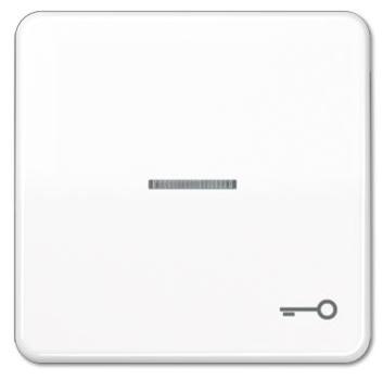 Jung CD590KO5TWW Wippe mit Symbol """"Tür"""", mit Kontrollfenster alpinweiss ***RESTPOSTEN***