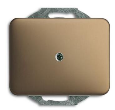 Busch-Jäger 1742-21 Blindzentralscheibe mit Tragring alpha bronze ***RESTPOSTEN***
