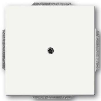 Busch-Jaeger 1742-884 future linear Blindzentralscheibe mit Tragring studioweiß matt