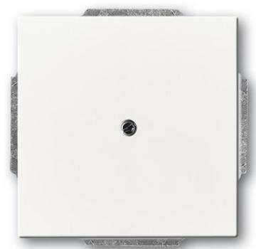 Busch-Jaeger 1749-884 future linear Zentralscheibe mit Tragring studioweiß matt