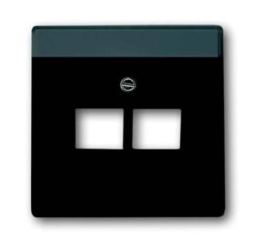 Busch-Jaeger 1803-02-81 Busch-dynasty Zentralscheibe 2-fach anthrazit (glanz)