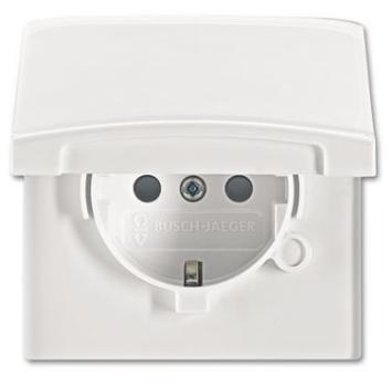 Busch-Jaeger 20 EUGKB-34-101 Schuko Steckdosen-Einsatz mit Klappdeckel Allwetter 44 (IP44) alpinweiß