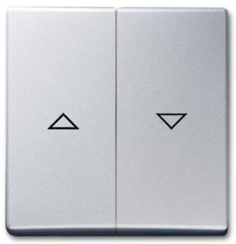 Busch-Jaeger 2126-33 Wippe mit Aufdruck Allwetter 44 (IP44) alusilber