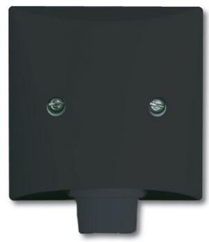 Busch-Jaeger 2133-35 Zentralscheibe mit Tragring Allwetter 44 (IP44) anthrazit