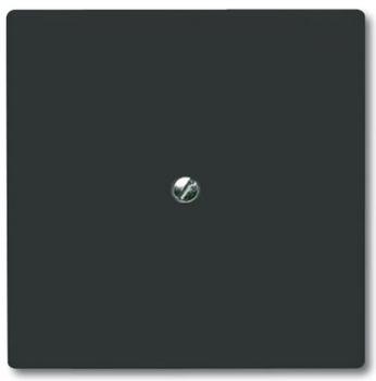 Busch-Jaeger 2138-35 Blindzentralscheibe mit Tragring Allwetter 44 (IP44) anthrazit