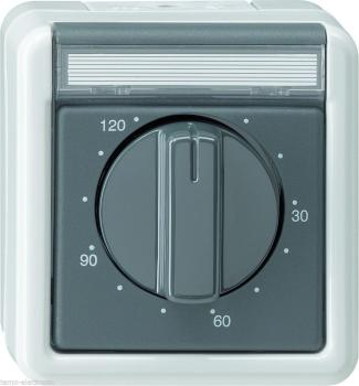 GIRA Aufputz System IP 44 Grau Zeitschalter 120 Minuten 032130