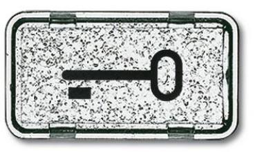 Busch-Jaeger 2622 TR-101 Tastersymbol Schlüssel Allwetter 44 (IP44) glasklar
