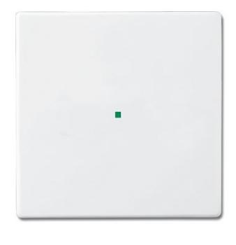 Busch-Jaeger 6230-10-84 Busch-free@home Wippe future® linear 1-fach, ohne Bedruckung studioweiß