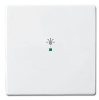 Busch-Jaeger 6231-10-84 Busch-free@home Wippe future® linear 1-fach, mit Symbol "Licht" studioweiß
