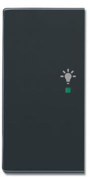 Busch-Jaeger 6231-21-81 Busch-free@home Wippe future® linear 2-fach links, mit Symbol "Licht" anthrazit