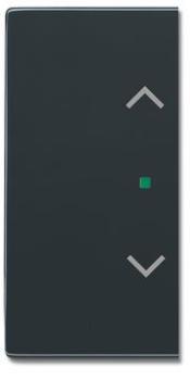 Busch-Jaeger 6232-20-81 Busch-free@home Wippe future® linear 2-fach links/rechts, mit Symbol "Jalousie" anthrazit