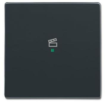 Busch-Jaeger 6233-10-81 Busch-free@home Wippe future® linear 1-fach, mit Symbol "Szene" anthrazit