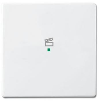 Busch-Jaeger 6233-10-84 Busch-free@home Wippe future® linear 1-fach, mit Symbol "Szene" studioweiß