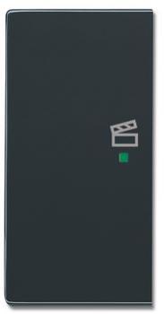 Busch-Jaeger 6233-21-81 Busch-free@home Wippe future® linear 2-fach links, mit Symbol "Szene" anthrazit