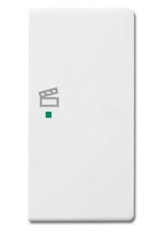 Busch-Jaeger 6233-22-84 Busch-free@home Wippe future® linear 2-fach rechts, mit Symbol "Szene" studioweiß