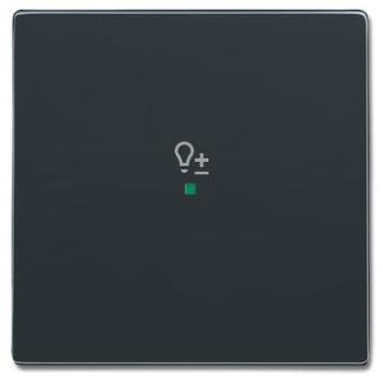 Busch-Jaeger 6234-10-81 Busch-free@home Wippe future® linear 1-fach, mit Symbol "Dimmer" anthrazit