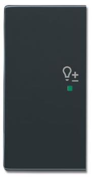Busch-Jaeger 6234-21-81 Busch-free@home Wippe future® linear 2-fach links, mit Symbol "Dimmer" anthrazit