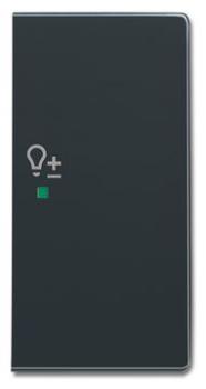 Busch-Jaeger 6234-22-81 Busch-free@home Wippe future® linear 2-fach rechts, mit Symbol "Dimmer" anthrazit