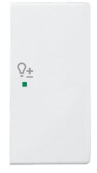 Busch-Jaeger 6234-22-84 Busch-free@home Wippe future® linear 2-fach rechts, mit Symbol "Dimmer" studioweiß