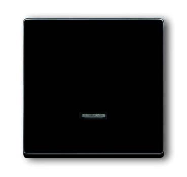 Busch-Jaeger 6543-81-101 Busch-dynasty Bedienelement mit Glimmlampe anthrazit (glanz)