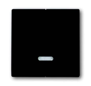 Busch-Jaeger 6545-81 Busch-dynasty Bedienelement mit Glimmlampe anthrazit (glanz)
