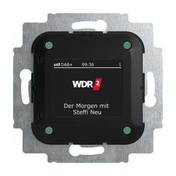 Busch-Jaeger Radio DAB+ 8215 U-101