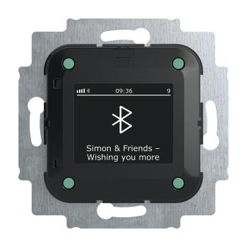 Busch-Jaeger BTconnect Radio DAB+ 8217 U-101 mit Bluetooth