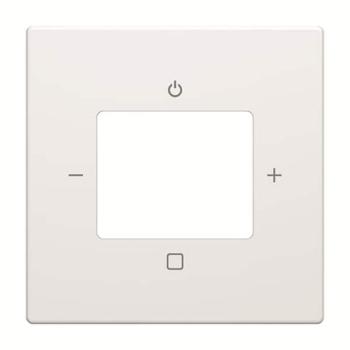 Busch-Jaeger 8252-84-101 Zentralscheibe für Digital- u. WLAN-Radio