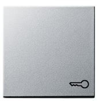 Gira 028726 System 55 Wippe mit Symbol Tür Farbe Aluminium lackiert ***RESTPOSTEN***