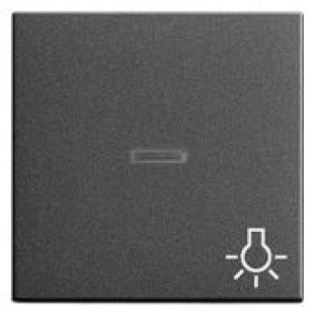 Gira 067428 System 55 Kontrollwippe und Symbol Licht Anthrazit ***RESTPOSTEN***