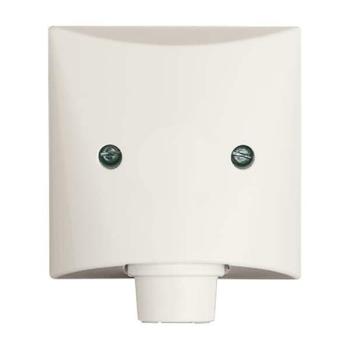 Busch-Jaeger 2133-32 Zentralscheibe mit Tragring Allwetter 44 (IP44) cremeweiß