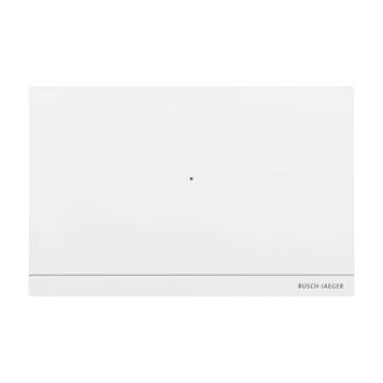 Busch-Jaeger Busch Welcome IP Smart Access Point Pro (D04011-03)