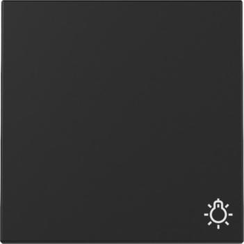 Gira 3285005 System 55 Wippe mit Symbol Licht Schwarz matt