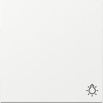 Gira 328503 System 55 Wippe Symbol "Licht" reinweiss glänzend