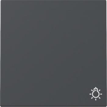 Gira System 55 anthrazit, Wippe "Symbol Licht" 328528
