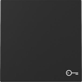 Gira 3287005 System 55 Wippe mit Symbol Tür Schwarz matt