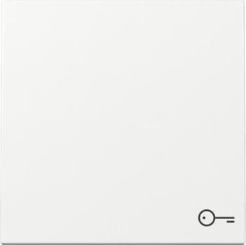 Gira 328703 System 55 Wippe Symbol "Schlüssel" reinweiss glänzend