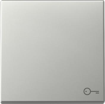 Gira 3287600 System 55 Wippe mit Symbol Tür Edelstahl