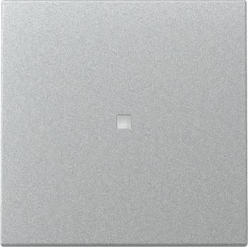 Gira 329026 System 55 Kontrollwippe Farbe Aluminium lackiert