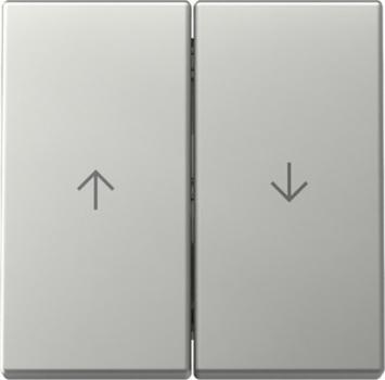 Gira 3294600 System 55 Wippe 2fach mit Pfeilsymbol Edelstahl